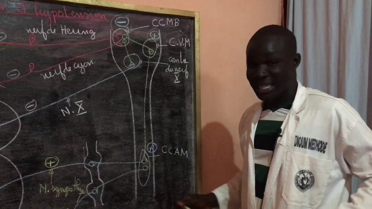 RÉGULATION DE LA PRESSION ARTÉRIELLE