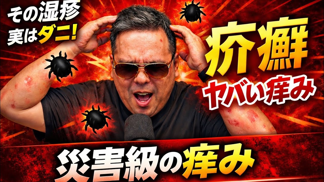 疥癬とは何か？症状・感染経路・治し方を実体験で解説