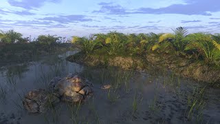 Quixel Workflows with Cinema 4D & Redshift (1 of 3)