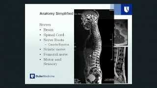 Lumbar Stenosis: Reclaim Your Mobility