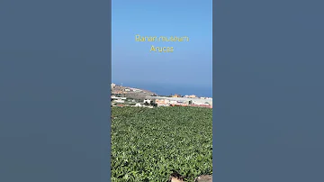 موزه موز Arucas Gran Canaria 