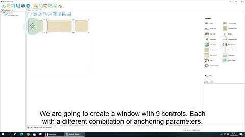 Ruleset Wizard tutorial - basics - anchoring controls