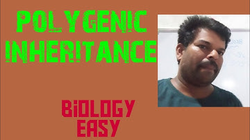 Polygenic inheritance in wheat