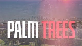 FBN Sillo - Palm Trees (Official Music Video)