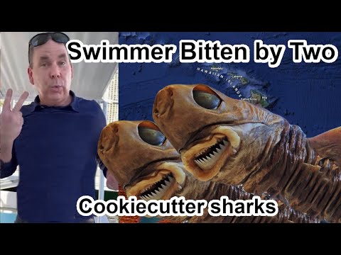 All known cookiecutter shark attacks. 2023 Swimmer tosses attacking Cookiecutter Sharks