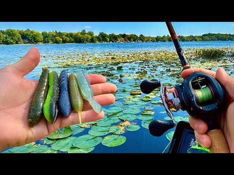 The Only ULTRALIGHT Lure You NEED! 