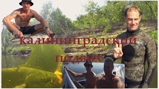 Несколько дней подводных охот на Волге с калининградским подводным охотником