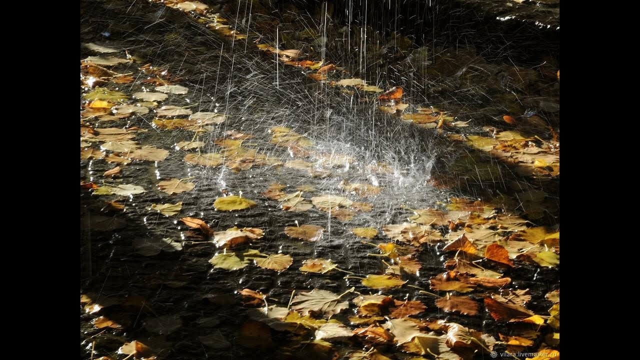 Дождливая осень картинки. Красивая дождливая осень. Осе н нн ий дождь. Сырая осень. Осенний дождь.