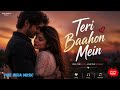 Teri Baahon Mein ❤️ | Romantic Love Song 2026 | Hindi Sad & Love Song | Vibe India Music