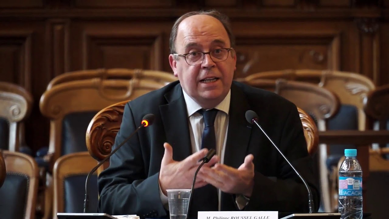 [04/15] Colloque du 16 Novembre 2017 : Intervention de Philippe Roussel ...