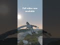 Full video now available!!! Peaceful and relaxing Pegasus flight #short