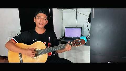 Siempre Feliz | Cover Hnos Devia | Daniel Mesa 🎶