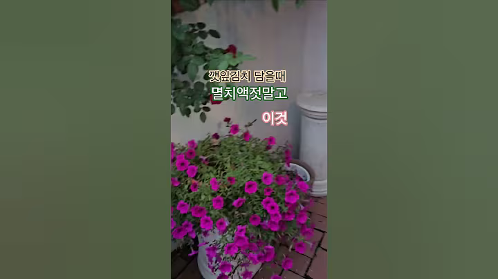 #깻잎김치 담을때 #건강 #음식 #강아지