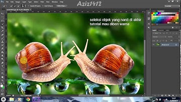 Tutorial Selective Color Photoshop CS6