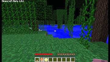 Minecraft Test Footage (Fraps + Lag Fix)