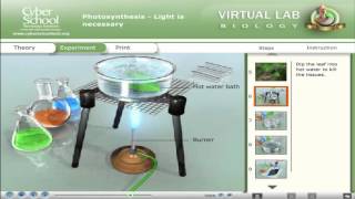 CSEC Biology Virtual Lab - Photosynthesis screenshot 3