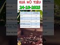 Giá hồ tiêu hôm nay 24/10/2025 | Giá tiêu tăng hay giảm? Cập nhật mới nhất | Tiên Lisa