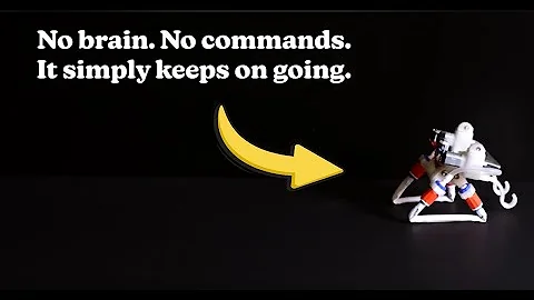 This soft robot 'thinks' with its legs: physical synchronization of self-oscillating limbs