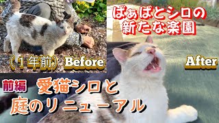 【母の退院準備】愛猫シロと迎える庭のリニューアル母に贈る新たな楽園〈前編【オリジナル曲】