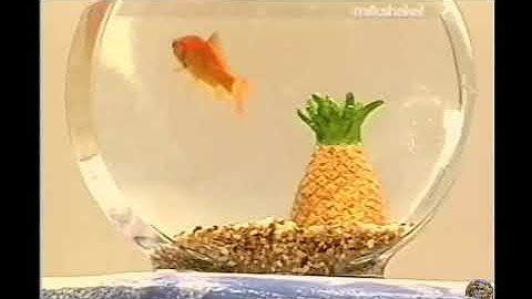 All the Elmo’s World ending songs but with the Wild Wild West song ...