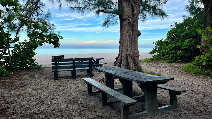 Part 3 of Robb's Monday Morning Beach Walk in North Naples, FL 09.26.22