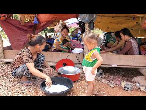 Video: Buckwheat Nyob Rau Hauv Vaj