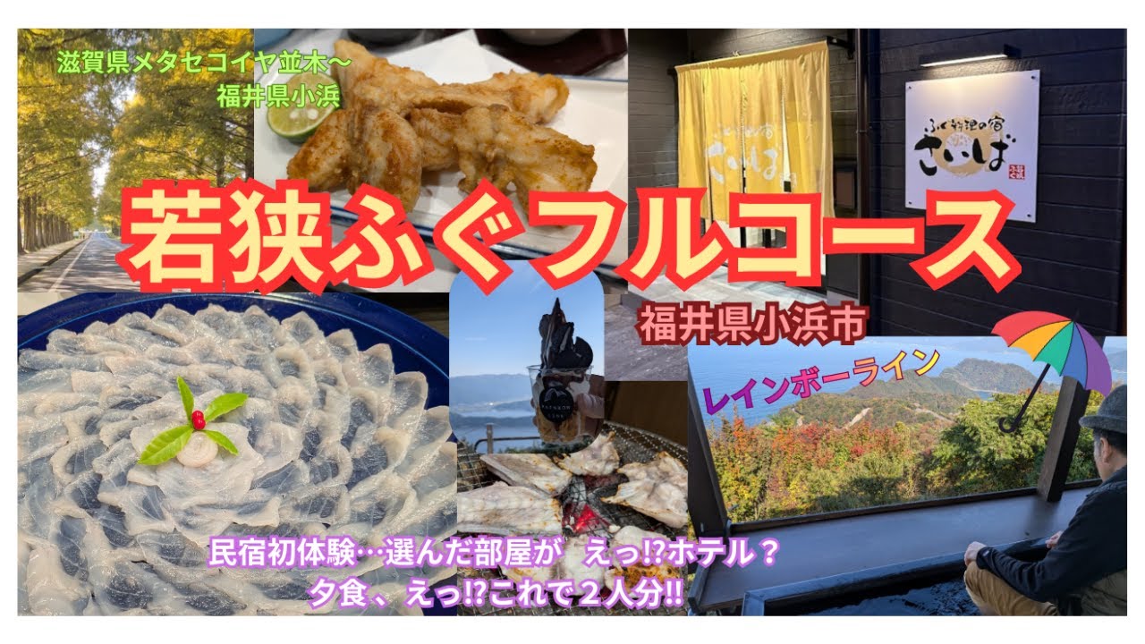 【福井若狭ふぐ】滋賀メタセコイア並木からの若狭旅行　「ふぐ料理の宿さいば」１泊２日夫婦旅　コスパ最高ふぐフルコース堪能