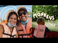 I didn&#39;t know monkeys could swim 🇹🇭 (mangrove long tail boat tour + train market in Thailand)