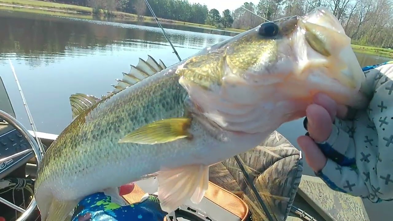 Bass Fishing On A South Georgia Plantation!
