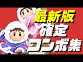 【スマブラSP】アイスクライマー確定コンボ集/アプデ強化Ver.9