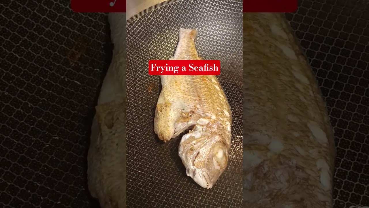 Obejrzyj How to fry fish?/ Frying Fish into high heat #shortvideo #friedfish w YouTube Obejrzyj How to fry fish?/ Frying Fish into high heat #shortvideo #friedfish w YouTube
