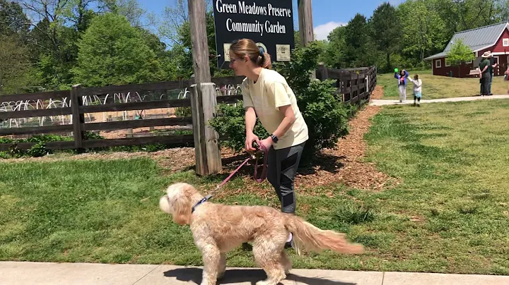 1. Maybelle takes treat and greets strangers