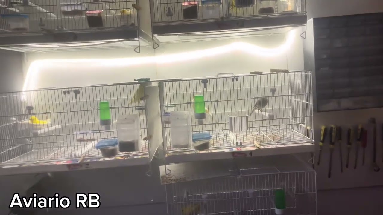 Los primeros de la temporadaaaa !!!