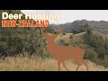 Hunting Deer in  N-Zélande / 2015