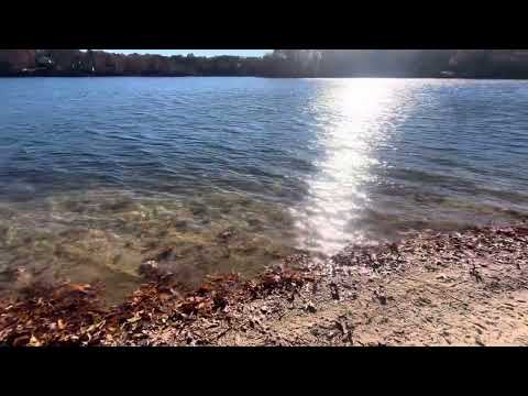 Relaxing Atmosphere by