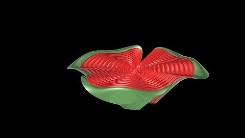 USYD MARC6102 3D Computer Design Modelling - Flower Grasshopper Video