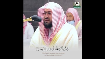 سورة الجاثية || القارئ د. بندر البليلة
