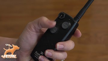 DT Systems Canine Coach 360 Remote Controlled Dog Training Obedience Collar