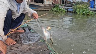 nay xúc trúng cá nhiều thấy mê quá cả nhà ơi..chúc cả nhà xem video vui vẻ.