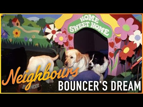 Bouncer's ICONIC Dream | Neighbours