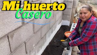 Cultivando mi sueño: Huerto casero en El Salvador