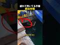 疲れて浮いてる子猫救出作戦