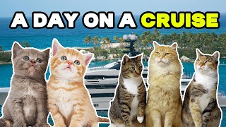 CAT MEMES: A DAY ON CRUISE WITH FAMILY by Tuns ider 2,332 views 1 month ago 2 minutes, 23 seconds