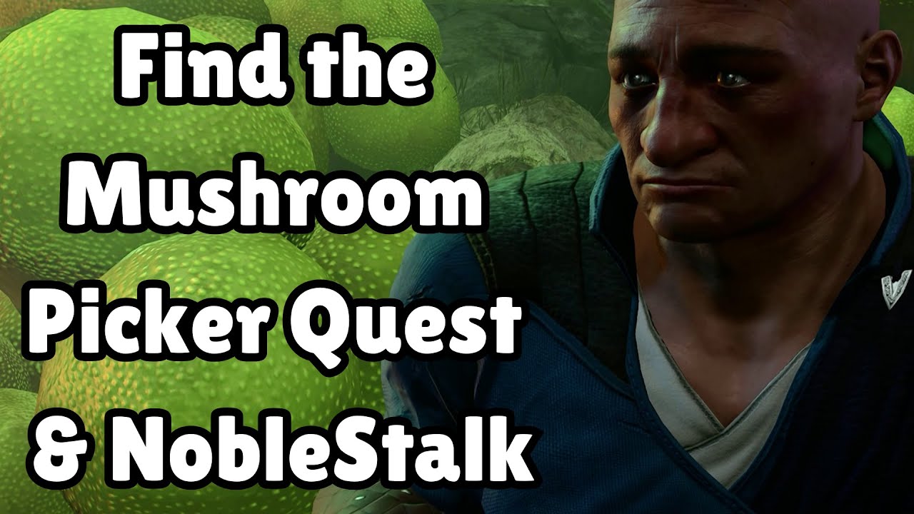 Find the Mushroom Picker Quest And NobleStalk Baldur's Gate 3 YouTube