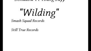Jshadow - Wildingft Young Jayy