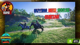 Meet My New Horse “Chetak” – RDR2 Realistic Horse Buying Experience /#rdr2 /#notgamerveeru