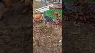 8 Feet- Rebels Wall Climb Training