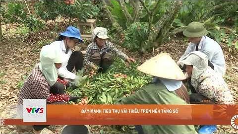 ĐẨY MẠNH TIÊU THỤ VẢI THIỀU TRÊN NỀN TẢNG SỐ  | VTV5