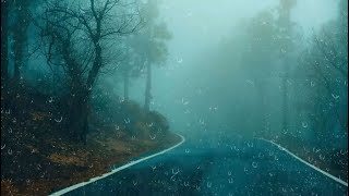 Расслабляющий дождь для сна - Победите бессонницу с помощью проливного дождя и грома на дороге ночью