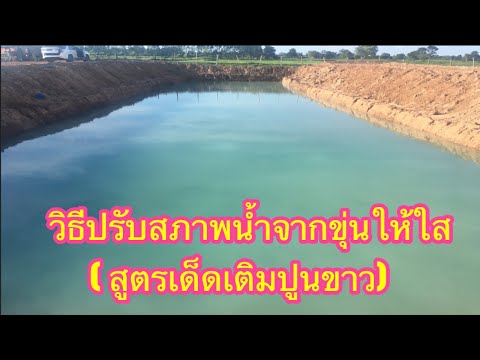 วิธีปรับสภาพน้ำขุ่นให้ใสขึ้น